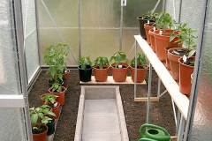 Chilis 2004 - Teil 1