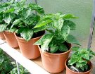 2004_06_24_004.jpg