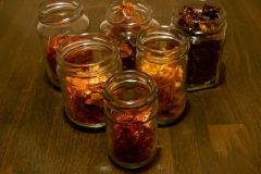 Chilis 2007 - Teil 3