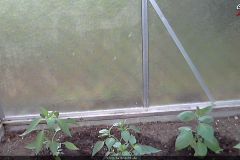 ChiliCam Archiv 2012